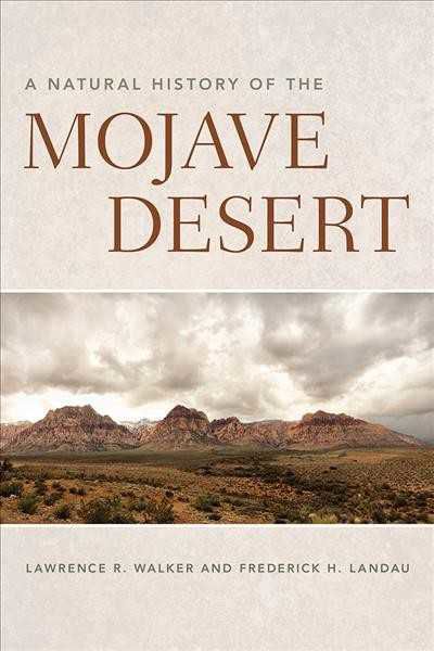 Mojave Desert.jpg